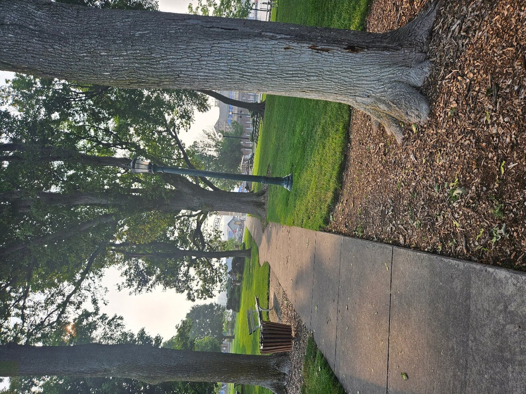 DeRivera Park-Put in Bay必去景点