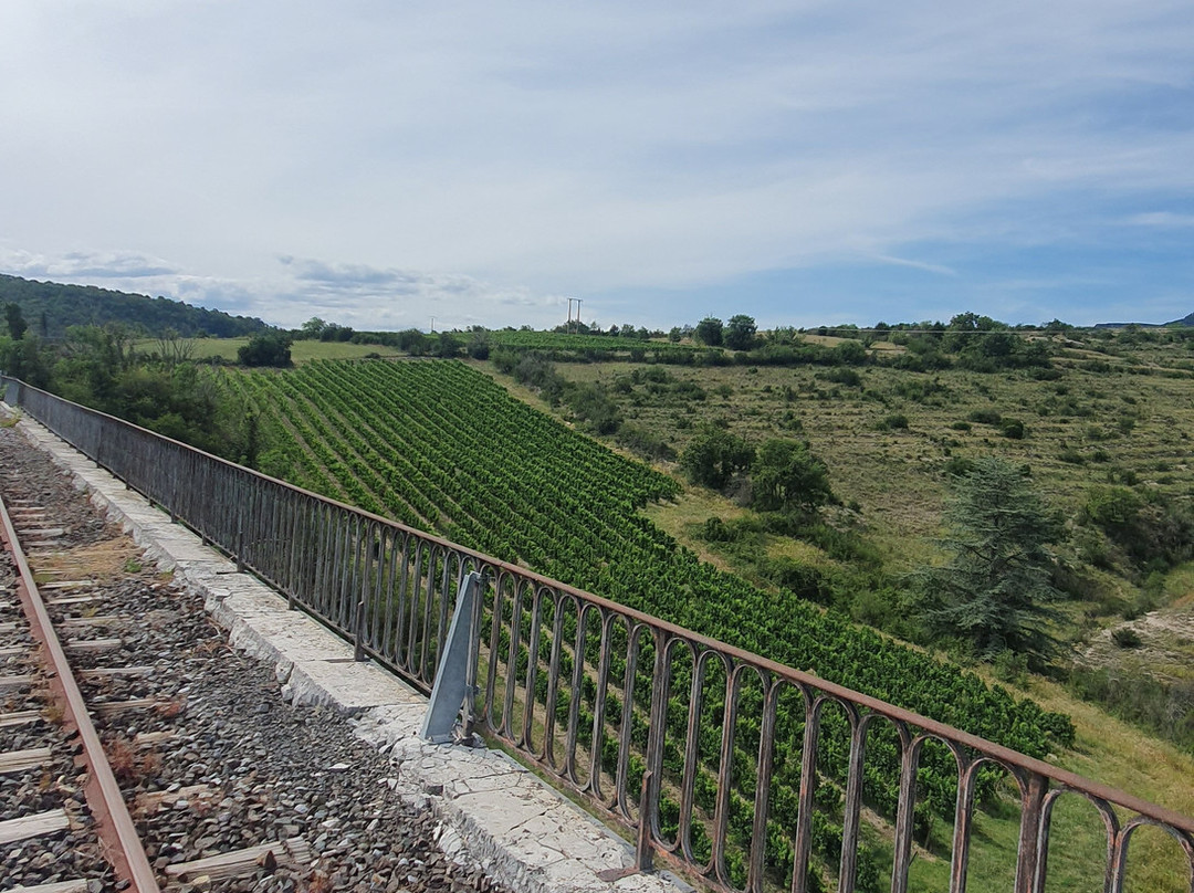 Velorail du Sud Ardeche景点图片