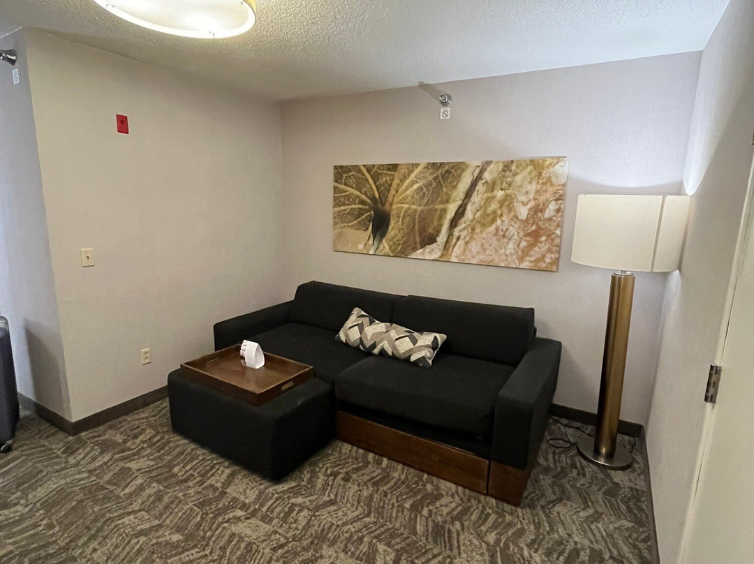 SpringHill Suites by Marriott Des Moines West主图