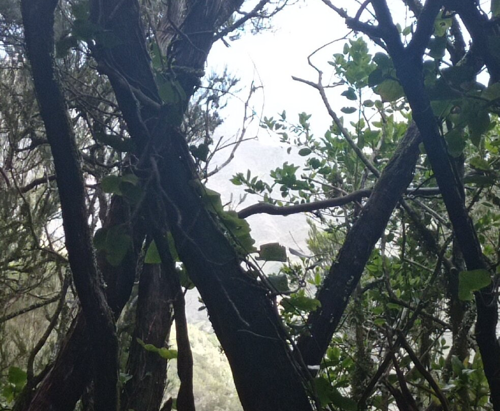 Centro de Visitantes Parque Rural de Anaga-拉古纳的圣克里斯托波尔城必去景点