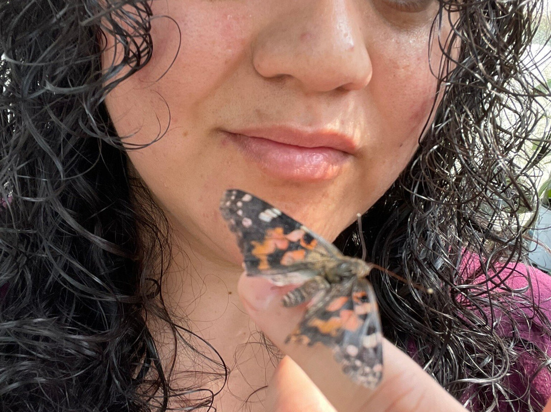 Lukas Nursery & Butterfly Encounter-Oviedo必去景点