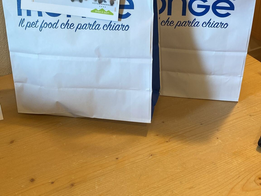 Hotel Amerikan主图