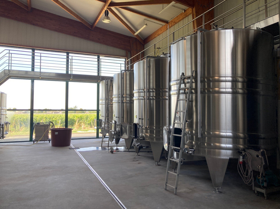 Bumblebee Tours - Loire Valley Wine Experience-梭缪尔必去景点