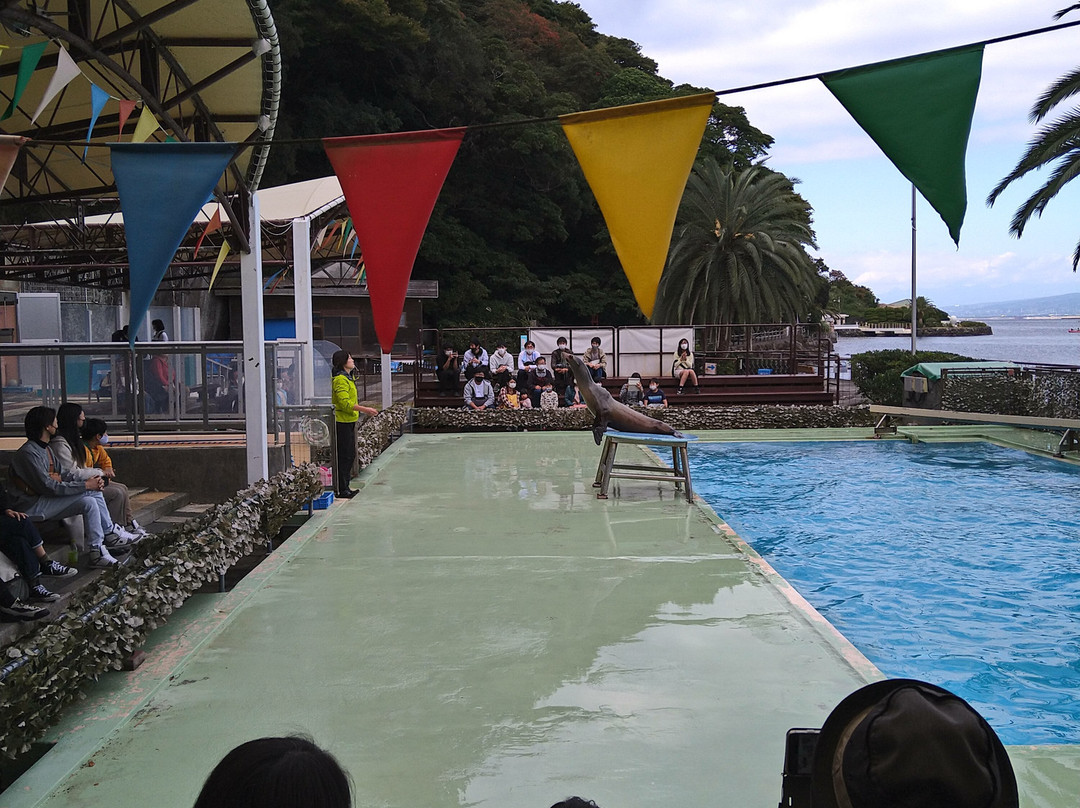 Awashima Marine Park景点图片