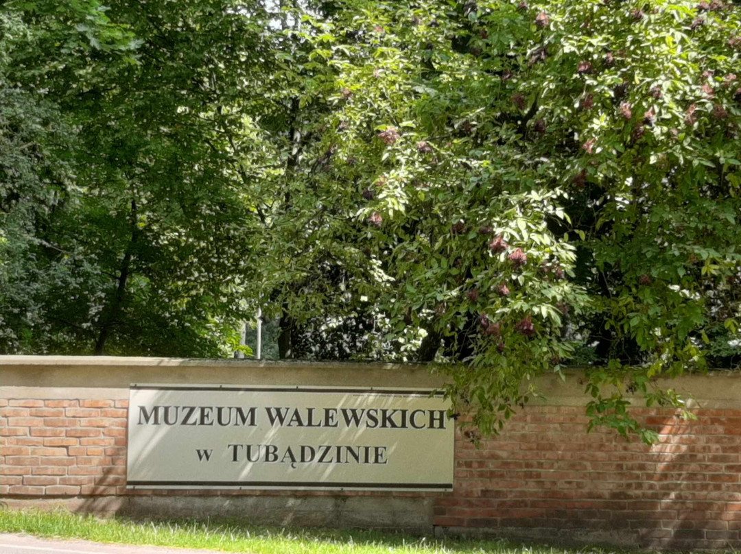 Walewski Museum in Tubadzin景点图片