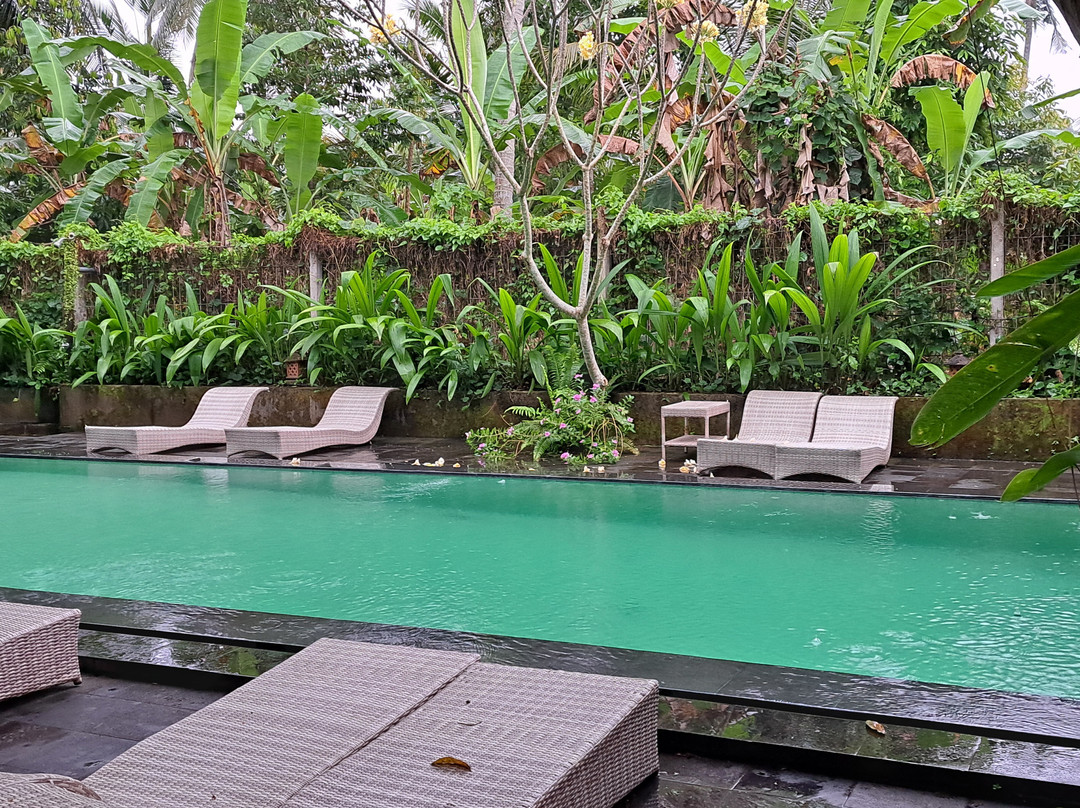 乌芭德酒店主图