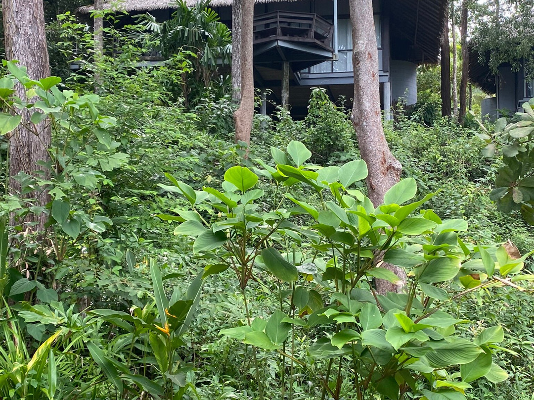 苏梅姚亚伊村主图