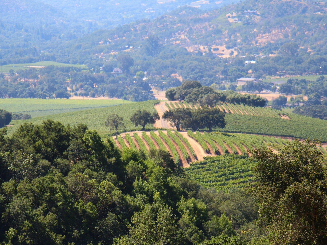 Kunde Family Winery-Kenwood必去景点