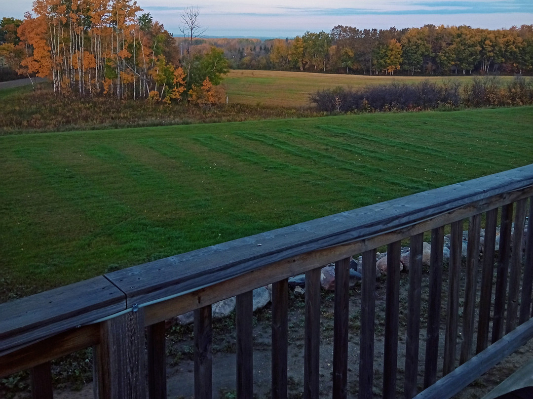 Honeycomb Bed & Breakfast主图