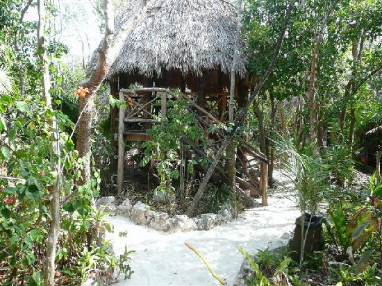 Maya Spa-图伦必去景点