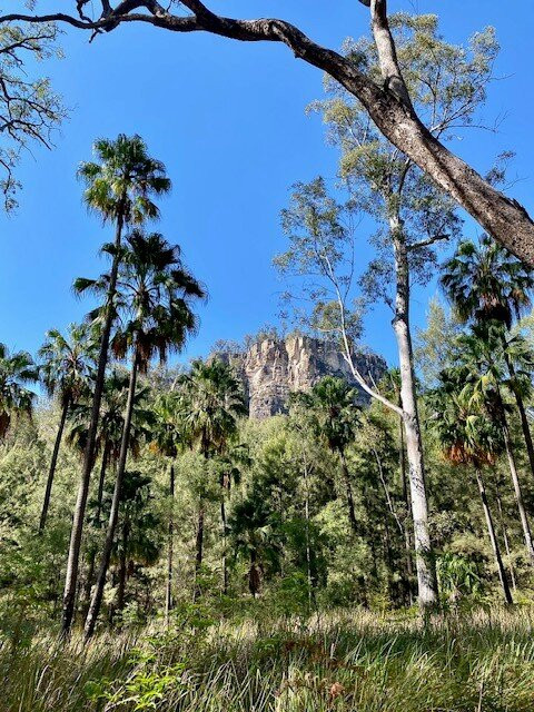 Central Queensland Nature Tours-罗尔斯顿必去景点