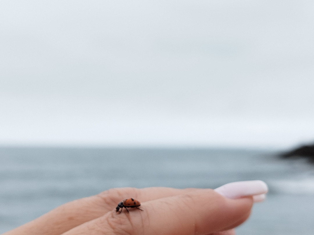 Porto Grande Beach-圣塞巴斯蒂昂必去景点