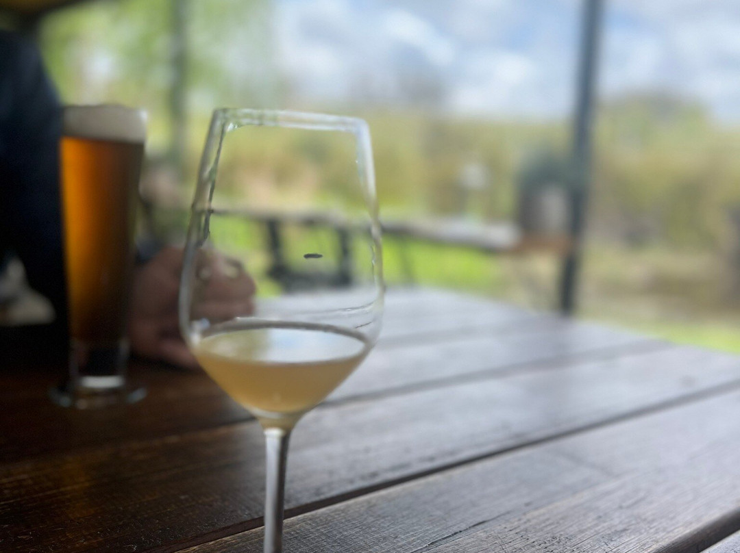 Loira Vines-Sidmouth必去景点