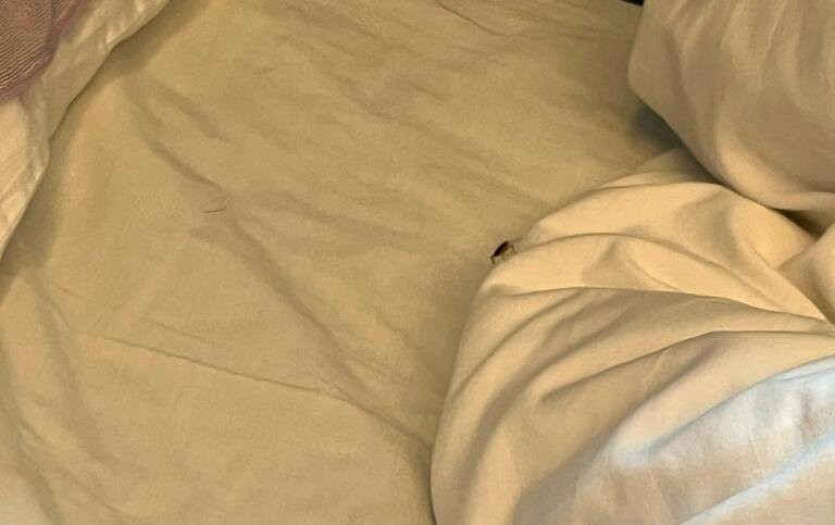 香港旺角新天地酒店主图