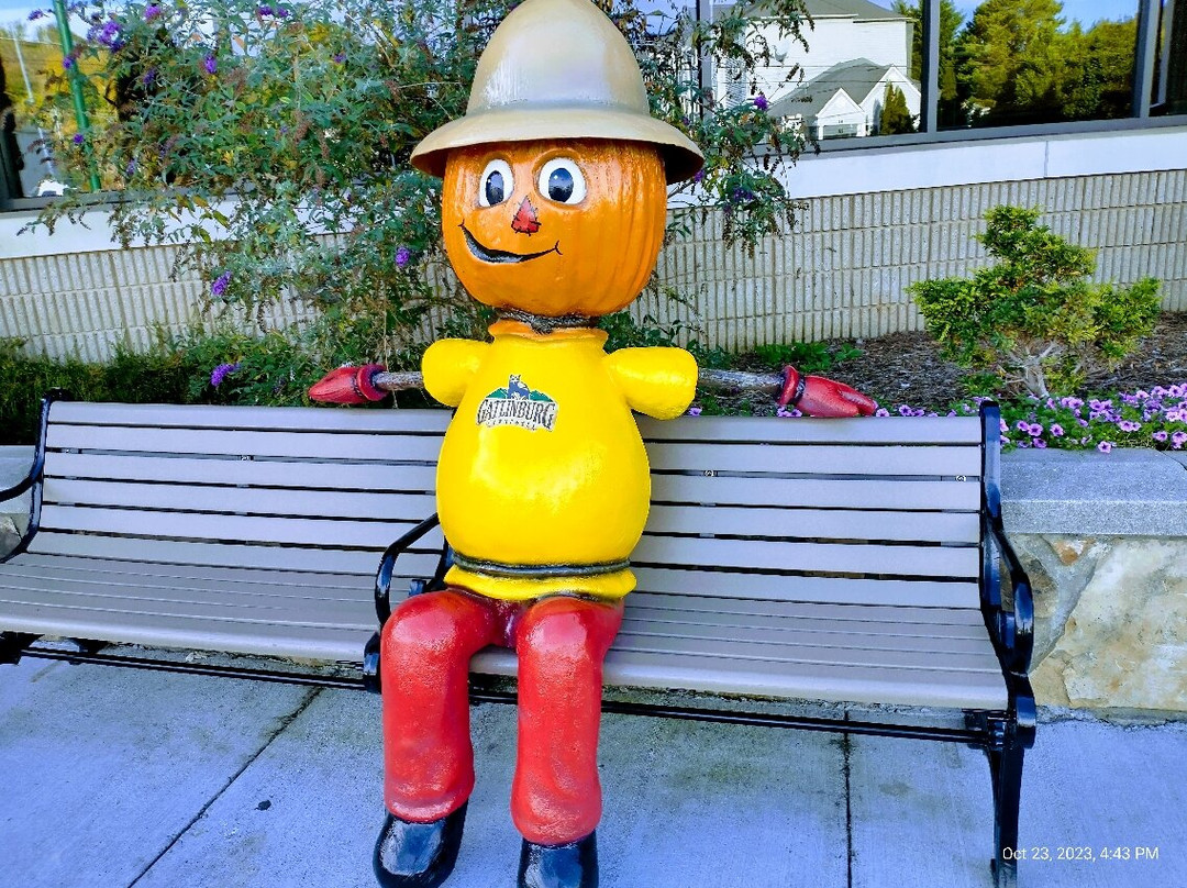 Gatlinburg Convention Center-盖林柏格必去景点