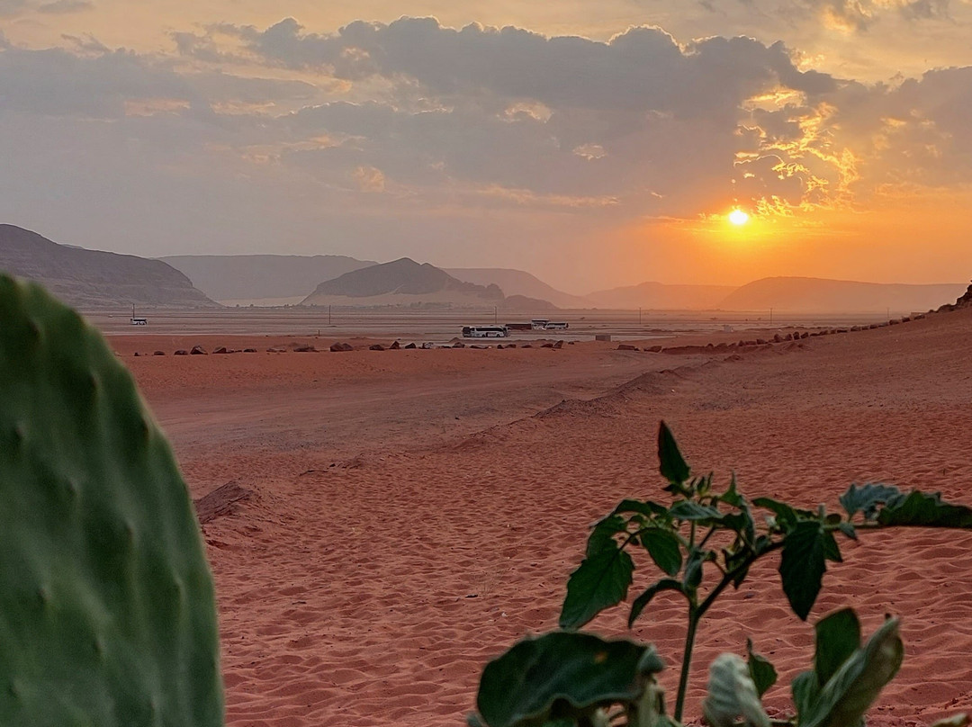 Space Village Luxury Camp主图