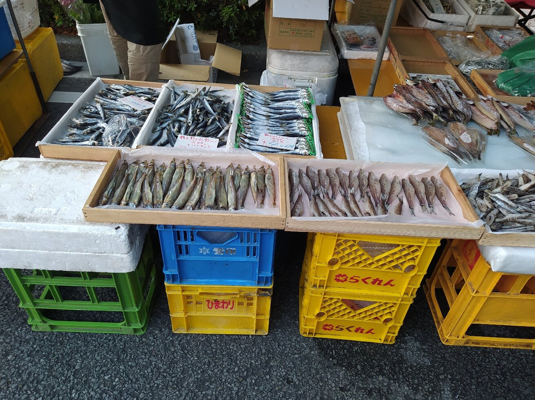 Sunday Market-高知市必去景点