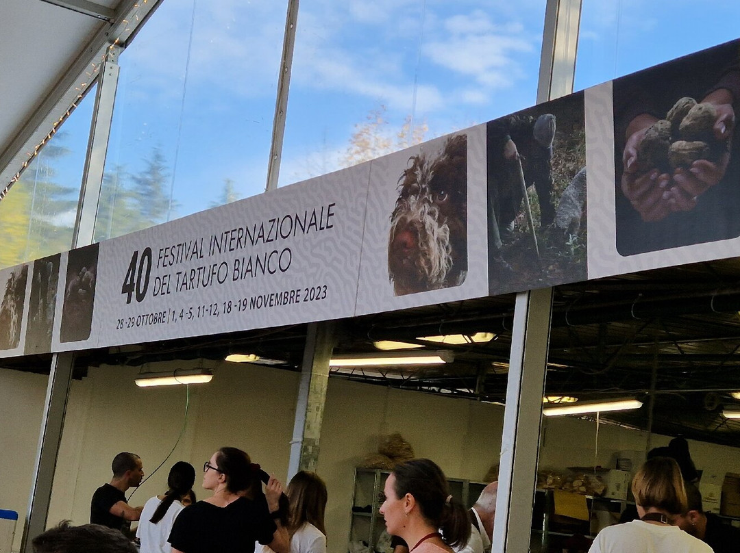 Tartofla - Festival Del Tartufo景点图片
