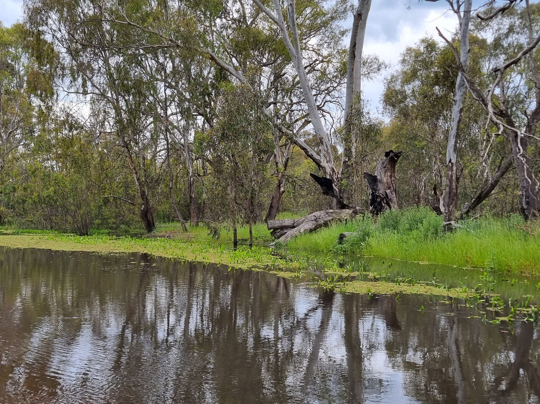 Kinnairds Wetland-Numurkah必去景点