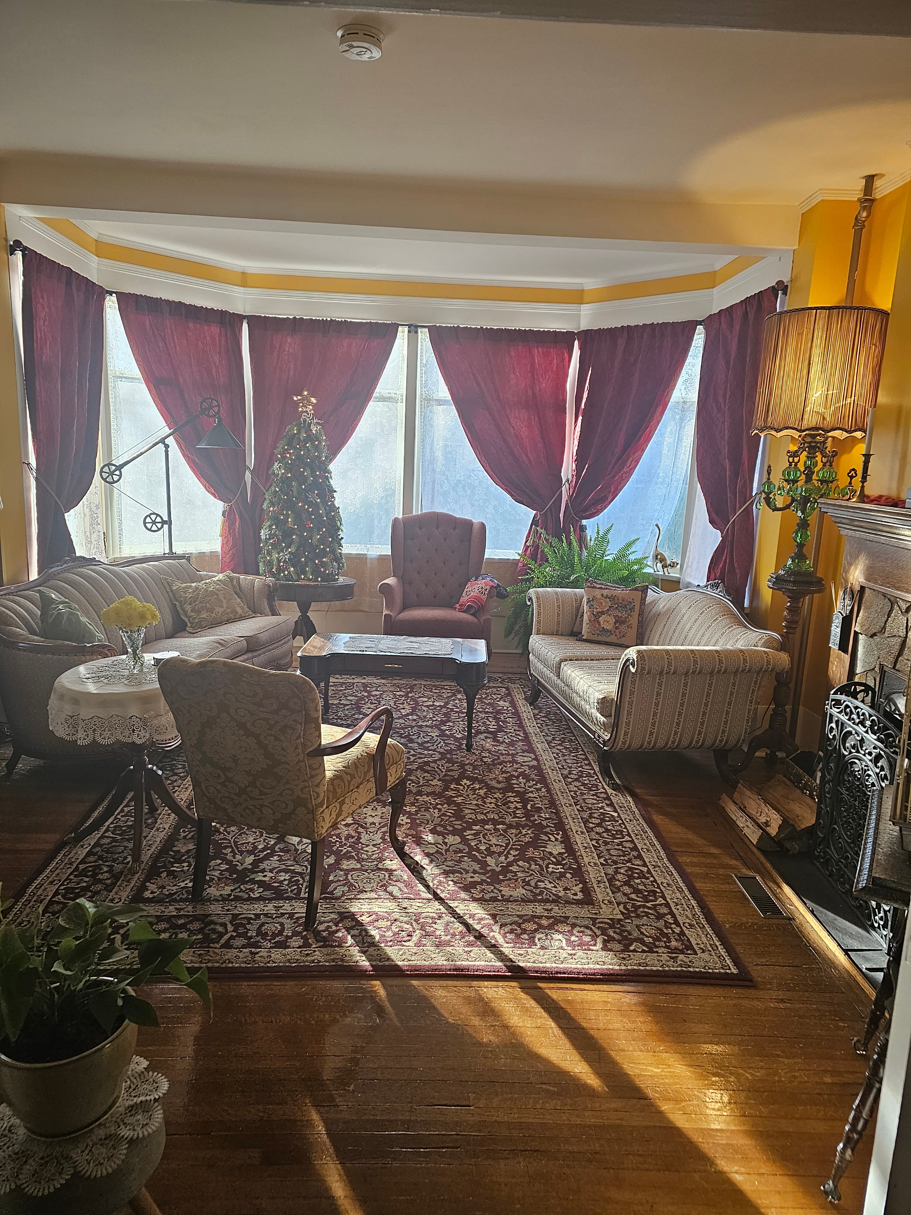 The Tyrannosaurus Rest B&B-官方