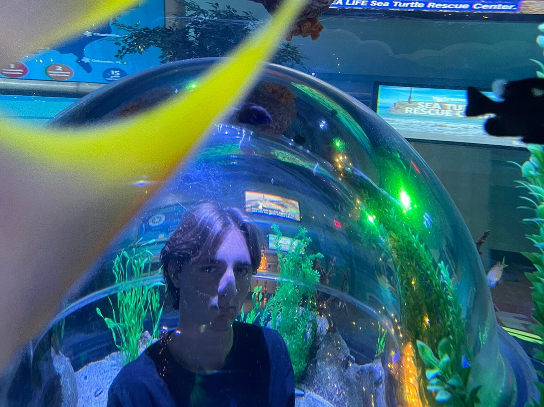 SEA LIFE Arizona Aquarium-坦佩必去景点