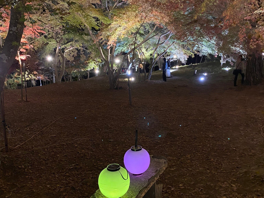 Tsukinoishi Momiji Park-长瀞町必去景点