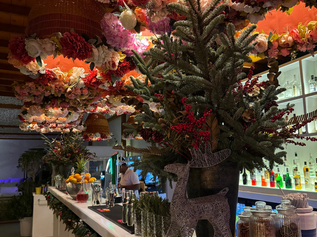 Solymar Beach-Amwaj Islands必去景点