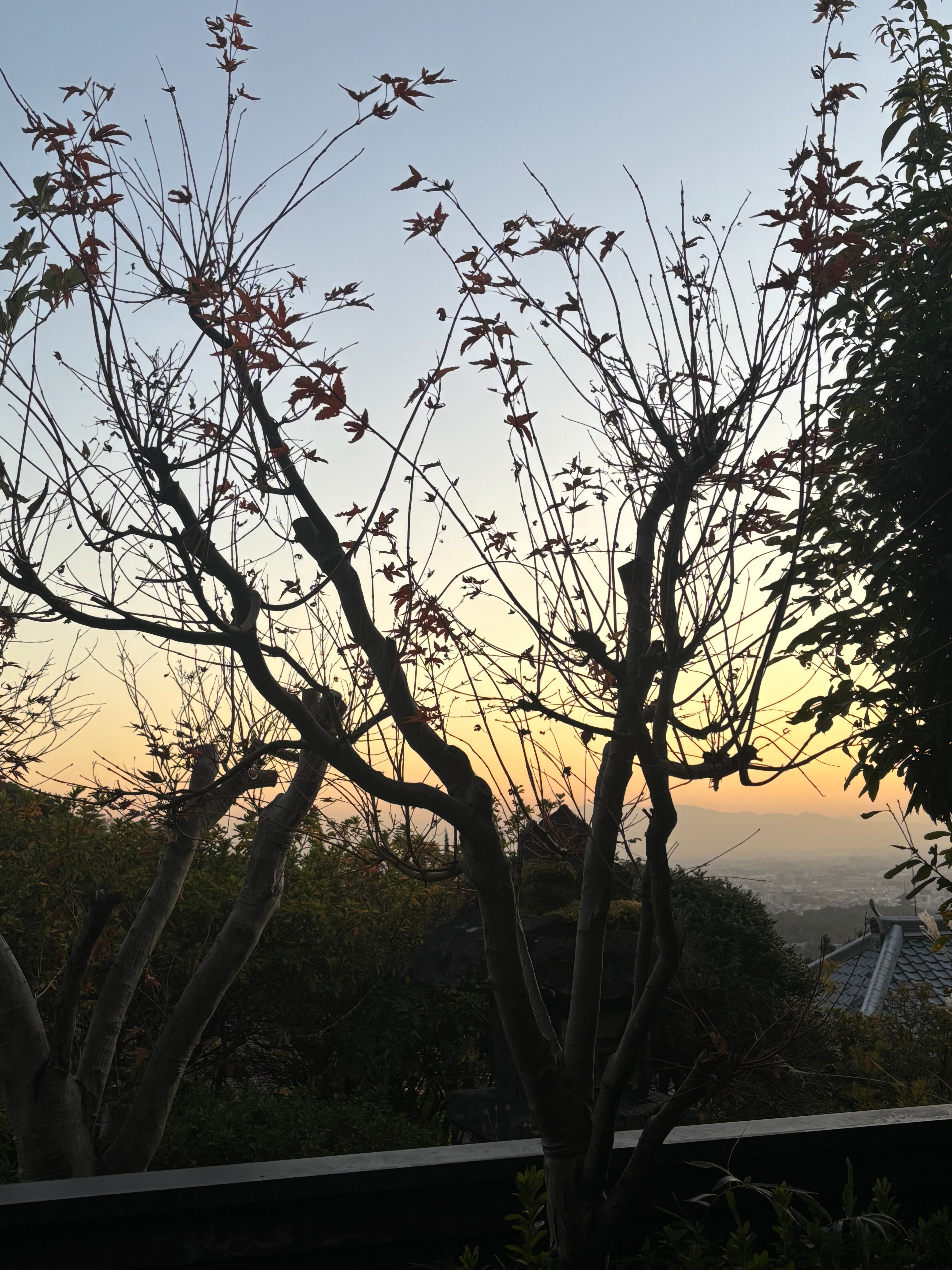 奈良万叶若草之宿 三笠旅馆-官方