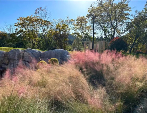安吉英迪格酒店主图