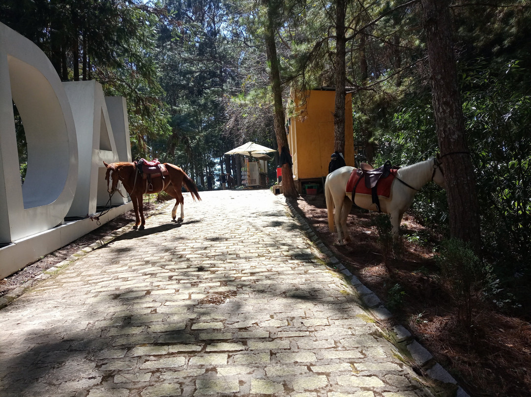 Da Lat King Palace I-大勒必去景点