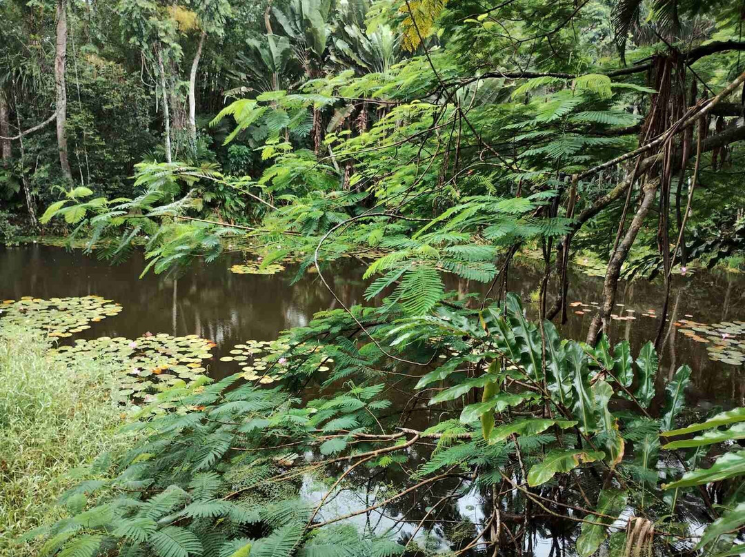 Rainforest Eco Lodge主图