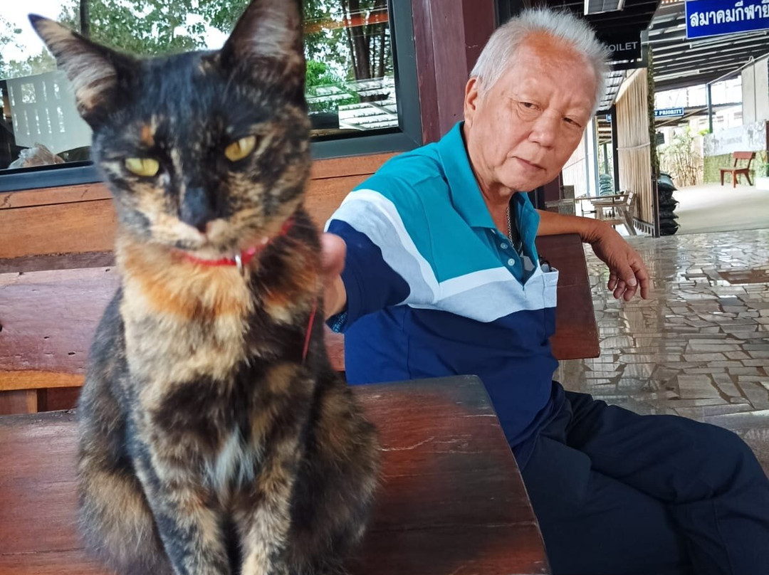 Yoyo Chiang Mai Tour-清迈必去景点