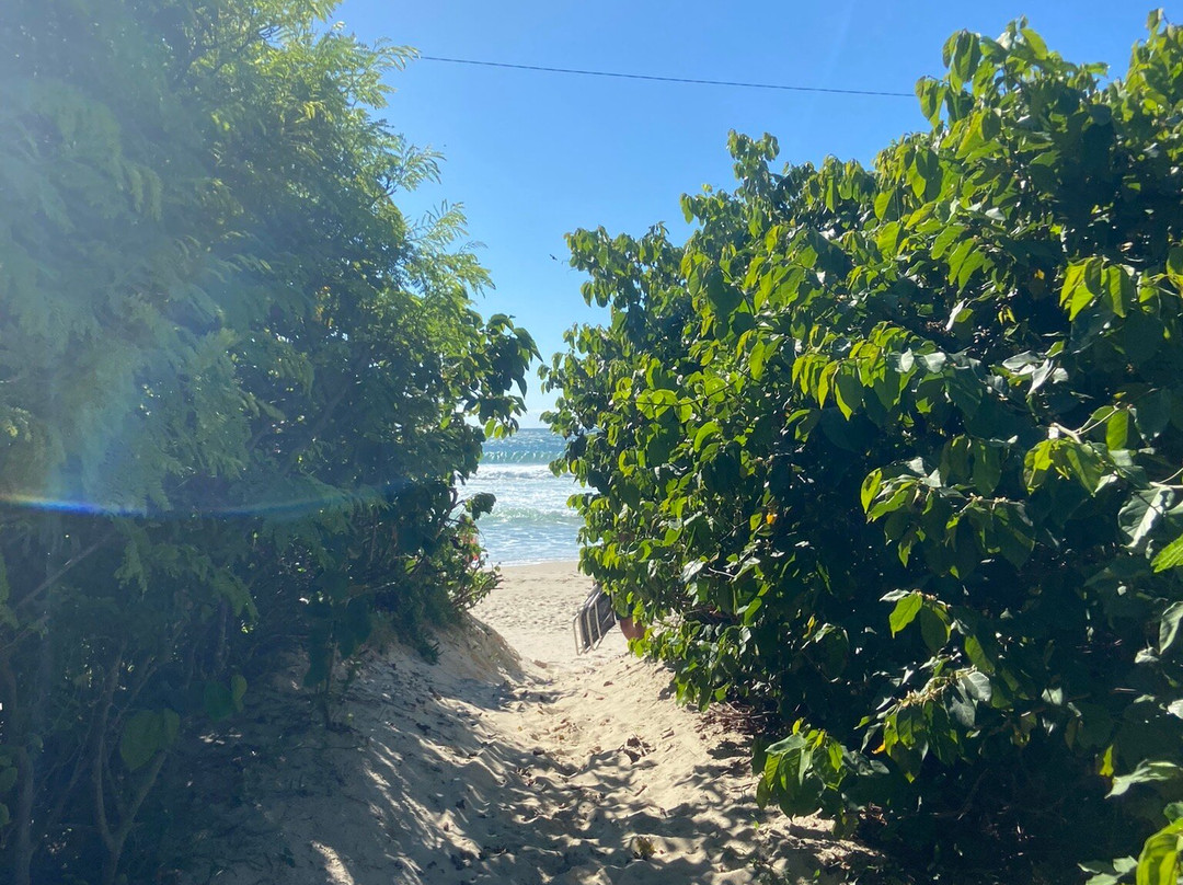 Praia da Solidao-弗洛里亚诺波利斯必去景点