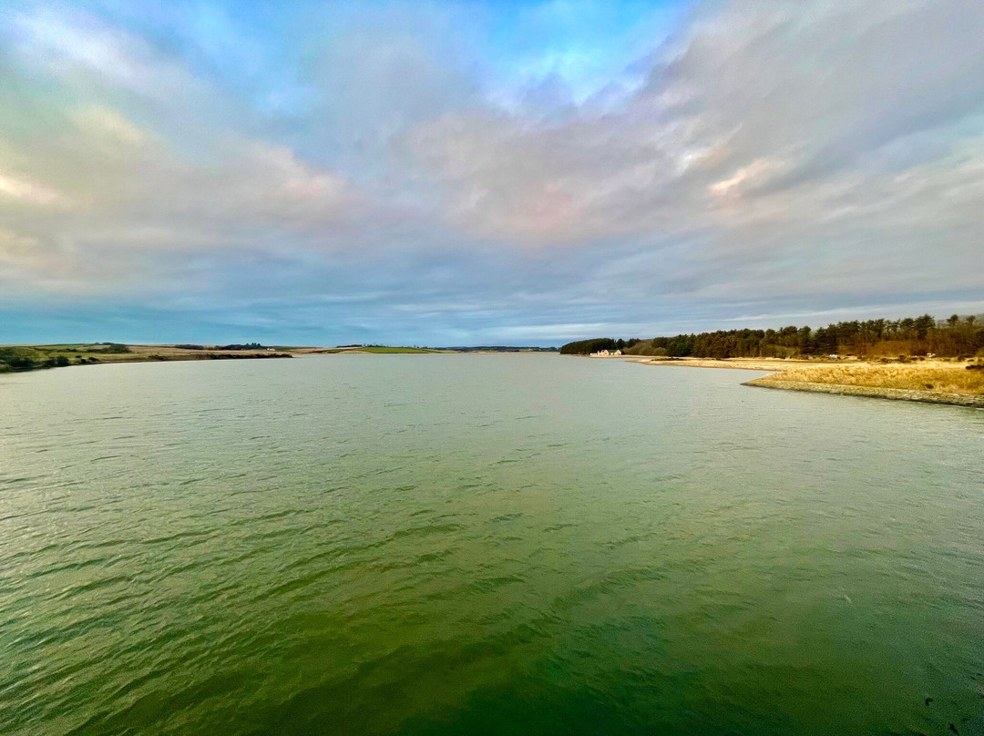 Forvie National Nature Reserve-Ellon必去景点