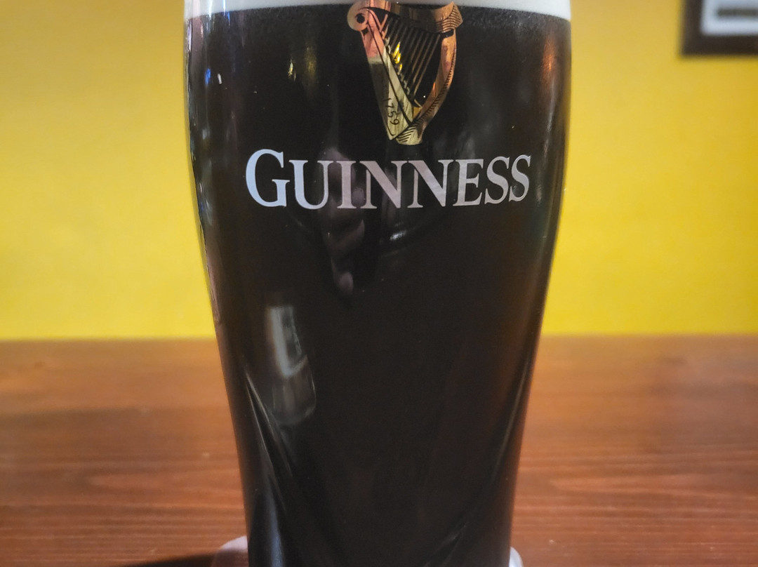 The Harp-索而多必去景点