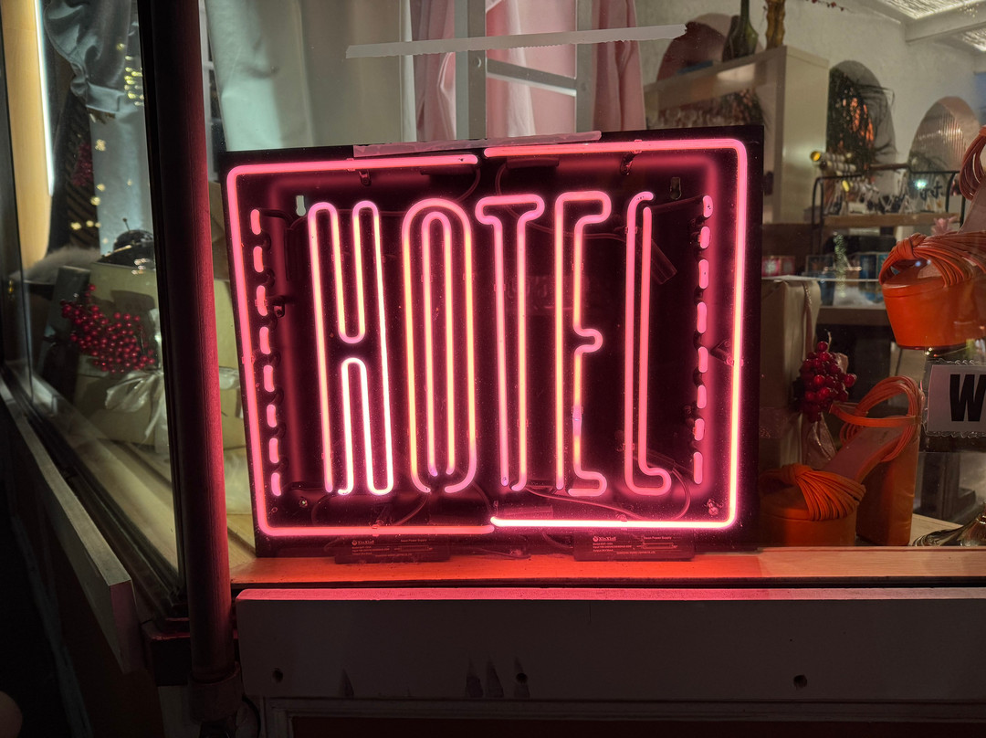 American Beech主图