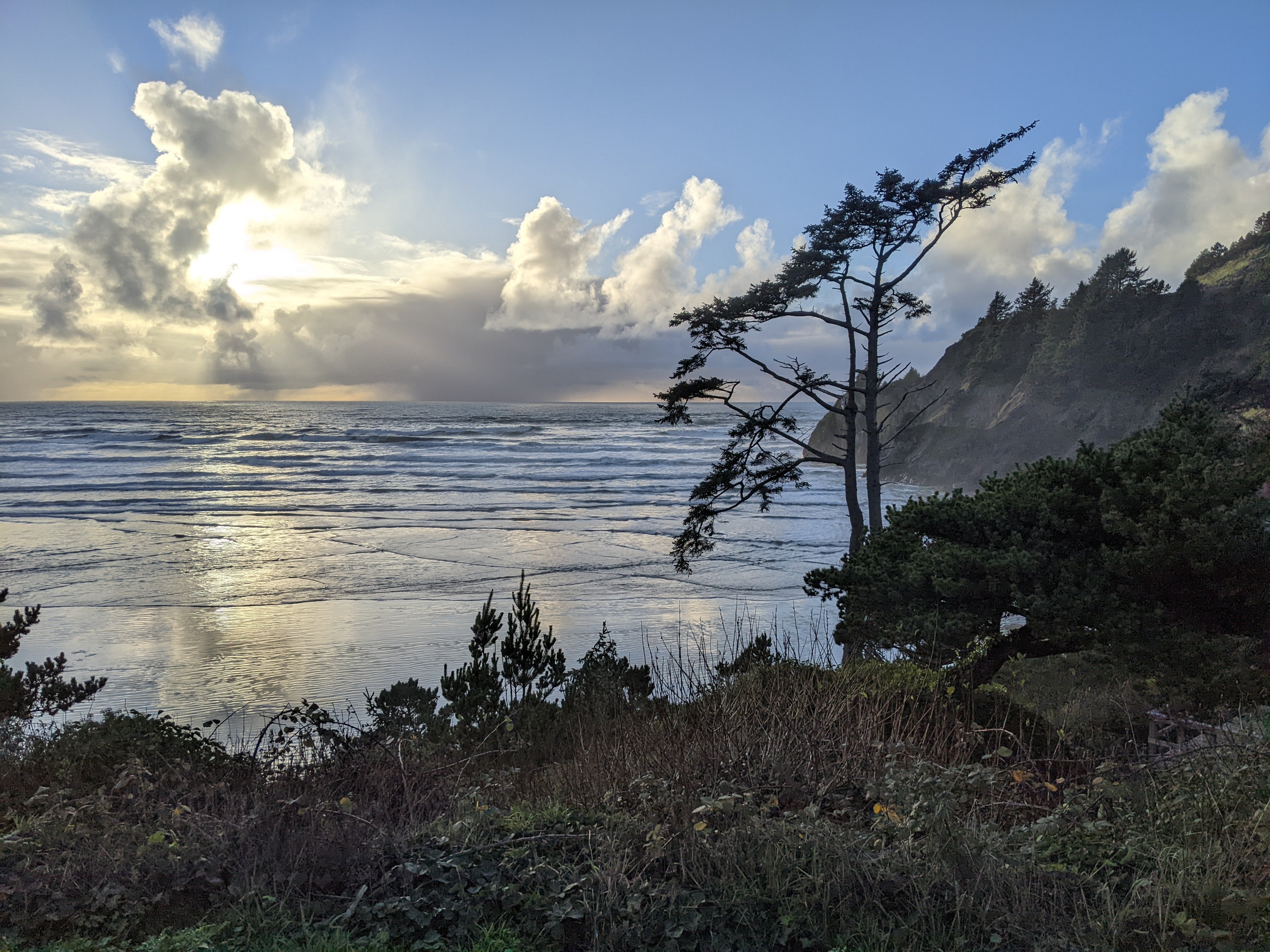 Agate Beach Motel-酒店景观