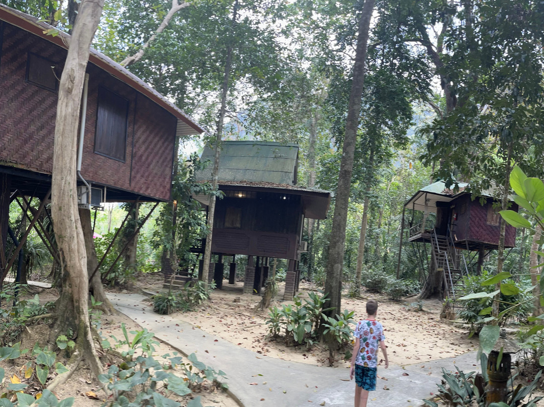 考索自然度假村主图