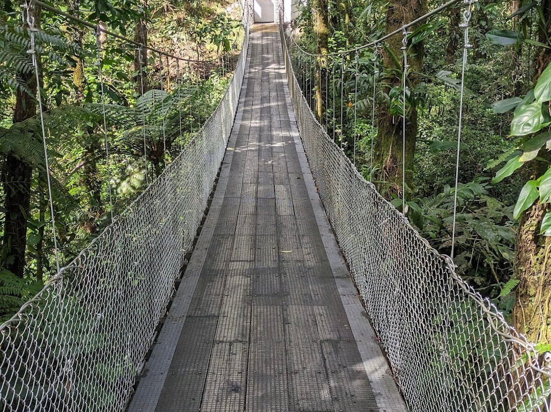 Arenal Observatory Lodge & Trails景点图片