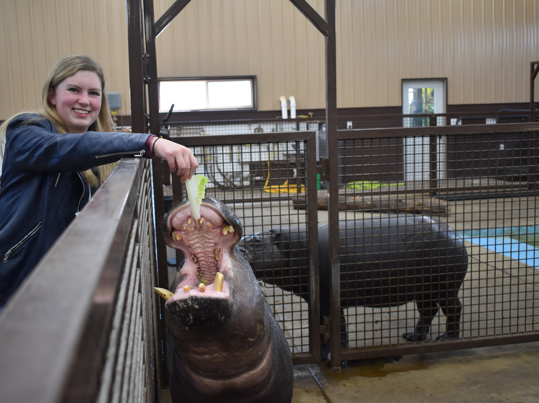 Boulder Ridge Wild Animal Park-Alto必去景点