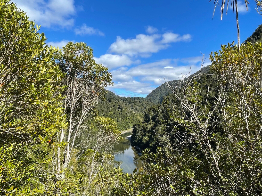 Rough and Tumble Bush Lodge主图