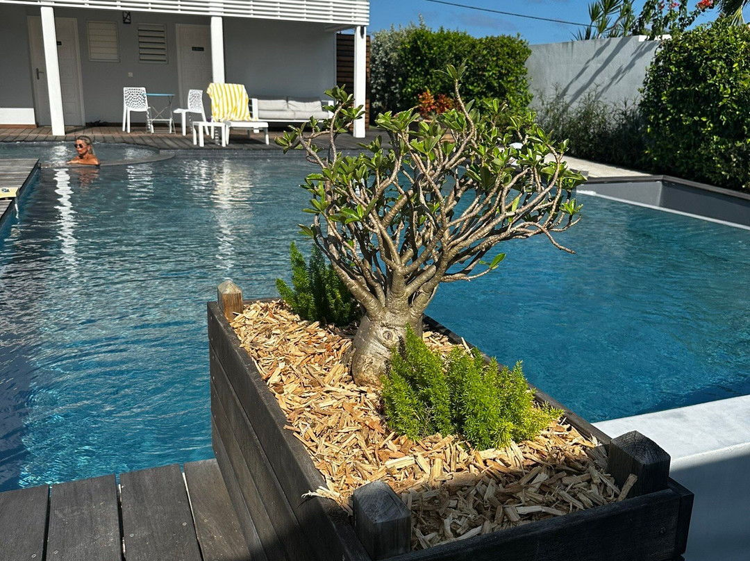 Hotel La Christophine主图