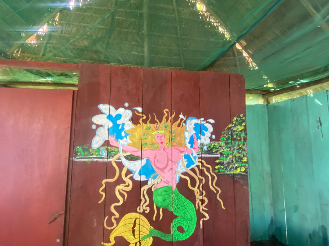 Amazonian Eco Adventure景点图片