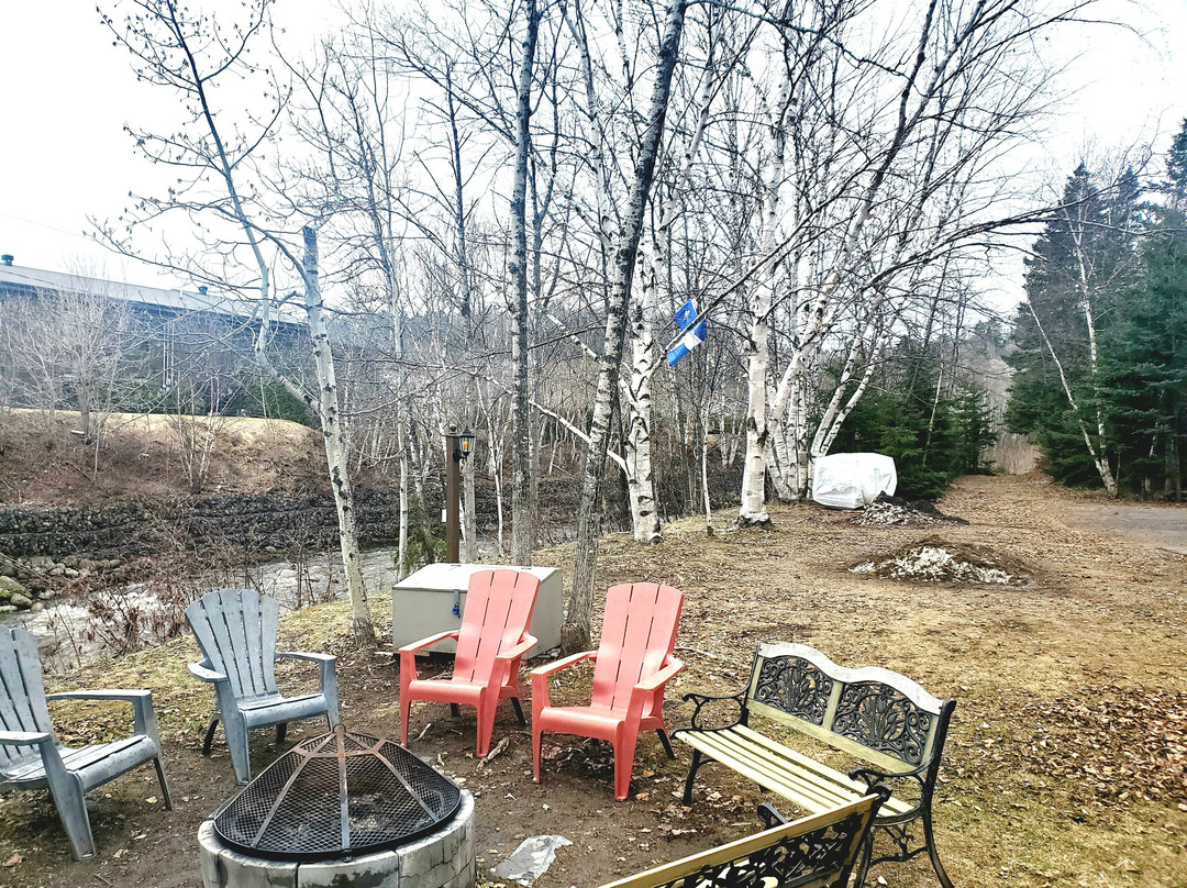 Motel des Cascades主图