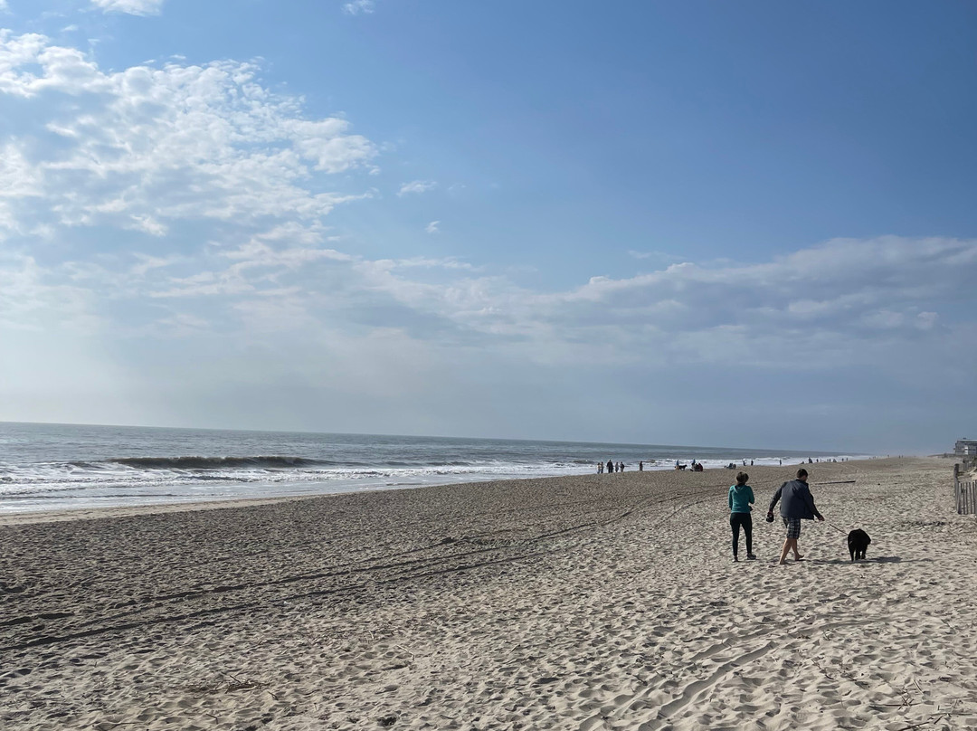 Beach House Dewey主图