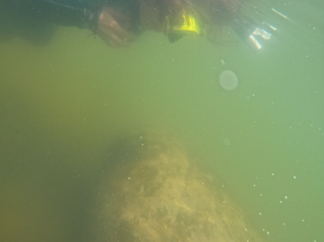 Adventure Diving-克里斯特尔里弗必去景点