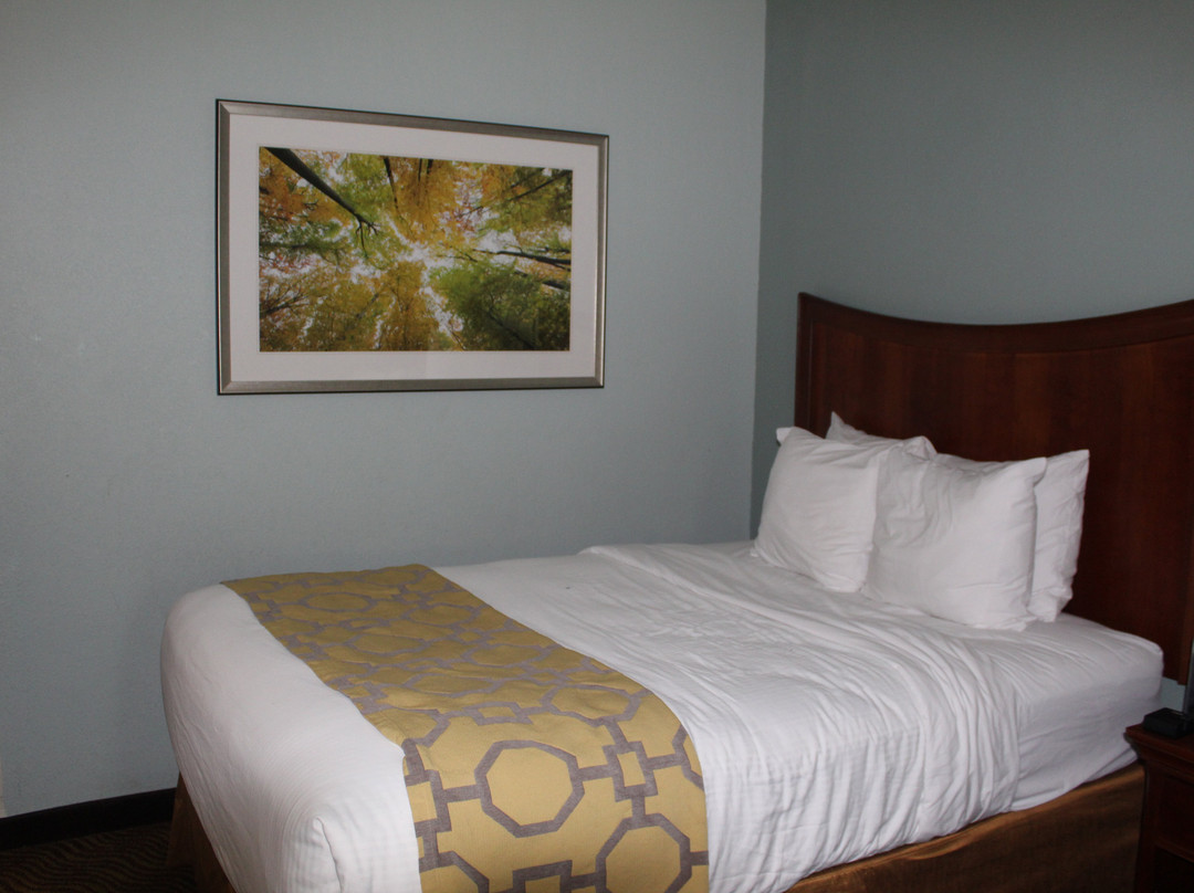 Baymont by Wyndham Braselton主图