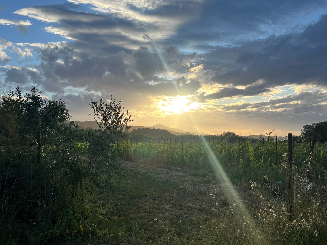 Hotel Tirrena Country & Bike Hotel主图