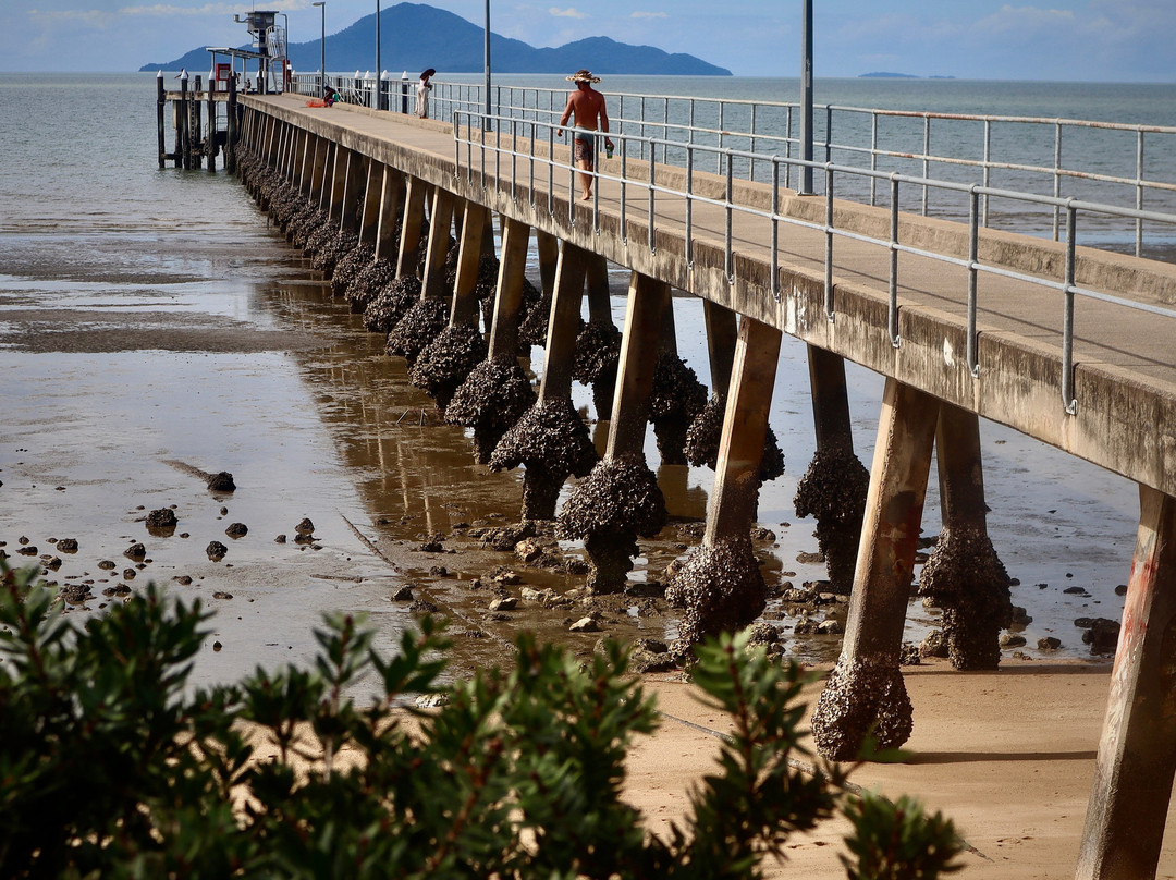 Cardwell Jetty-卡德威尔必去景点