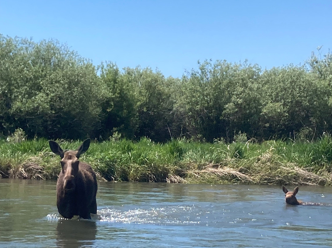 Teton River Supply-德里格斯必去景点